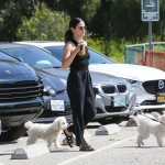 dogsla230423-015.jpg