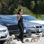 dogsla230423-016.jpg