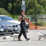 dogsla230423-018.jpg