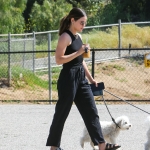 dogsla230423-019.jpg