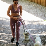 dogsla250422-009.jpg
