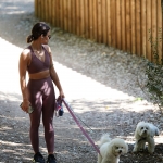 dogsla250422-025.jpg