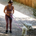 dogsla250422-026.jpg