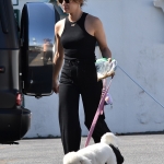 dogssc060422-004.jpg