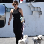 dogssc060422-006.jpg