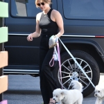 dogssc060422-009.jpg