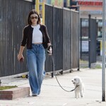 dogwalk271024-004.jpg