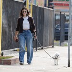 dogwalk271024-006.jpg