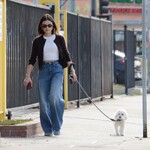 dogwalk271024-007.jpg