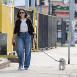 dogwalk271024-009.jpg