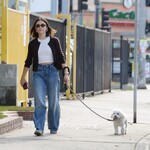 dogwalk271024-010.jpg