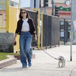 dogwalk271024-011.jpg