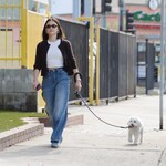 dogwalk271024-012.jpg