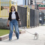 dogwalk271024-013.jpg