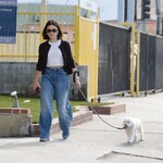 dogwalk271024-016.jpg