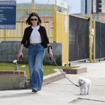 dogwalk271024-017.jpg