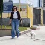 dogwalk271024-018.jpg