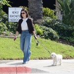 dogwalk271024-022.jpg