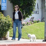 dogwalk271024-023.jpg
