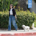 dogwalk271024-024.jpg