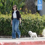 dogwalk271024-025.jpg