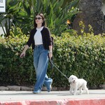 dogwalk271024-026.jpg