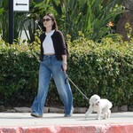 dogwalk271024-027.jpg