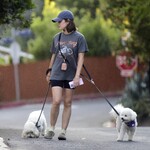 dogwalkla1170724-006.jpg