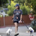 dogwalkla1170724-007.jpg