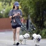 dogwalkla1170724-008.jpg