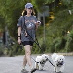 dogwalkla1170724-010.jpg
