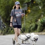 dogwalkla1170724-011.jpg