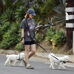 dogwalkla1170724-013.jpg