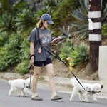 dogwalkla1170724-014.jpg