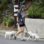 dogwalkla1170724-017.jpg