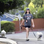 dogwalkla1170724-020.jpg