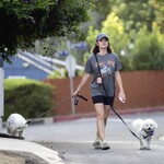 dogwalkla1170724-021.jpg
