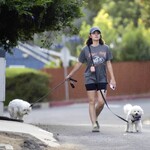dogwalkla1170724-022.jpg