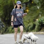 dogwalkla1170724-030.jpg