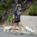 dogwalkla1170724-034.jpg