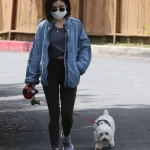 elvisla130420-014.jpg