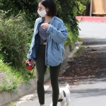 elvisla130420-016.jpg