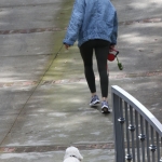 elvisla130420-017.jpg
