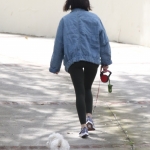 elvisla130420-018.jpg