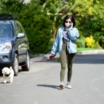 elvisla130420-030.jpg