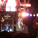 lightupnight221113-014.jpg