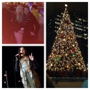 lightupnight221113-016.jpg