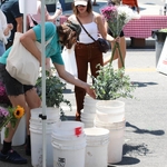 oala070724-050.jpg