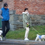 Filename=oany131220-048.jpg
Filesize=1474KiB
Dimensions=5472x3648
Date added=Dec 14, 2020 oany131220-048.jpg