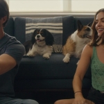 puppylovelhbr-1009.jpg